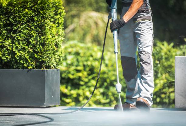 Best Building Exterior Washing  in Gunter, TX